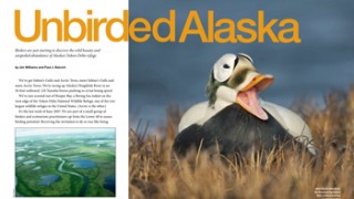 Unbirded-Alaska-w