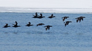 IMG_2890-14copy2