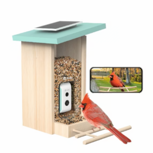 Best Bird Feeders with Camera for Bird Lovers and Backyard Birding