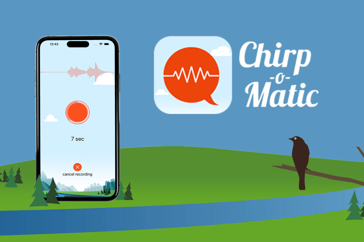 The Best Bird Song Apps in the U.S. (2026): A Complete Guide