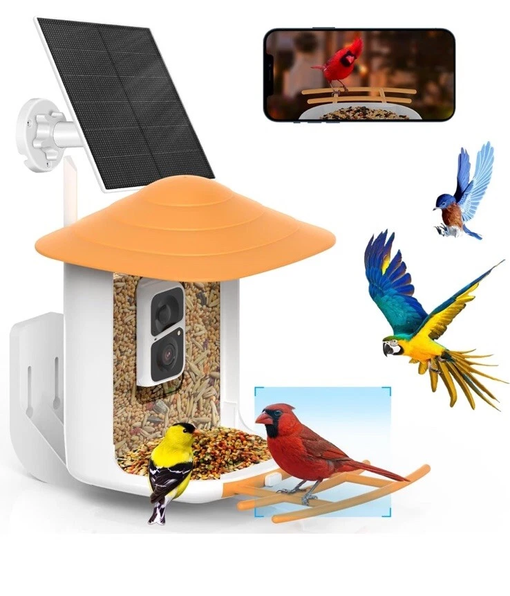 Best Bird Feeders with Camera for Bird Lovers and Backyard Birding
