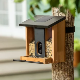 Best Bird Feeders with Camera for Bird Lovers and Backyard Birding