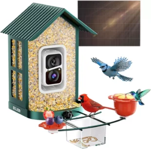 Best Bird Feeders with Camera for Bird Lovers and Backyard Birding
